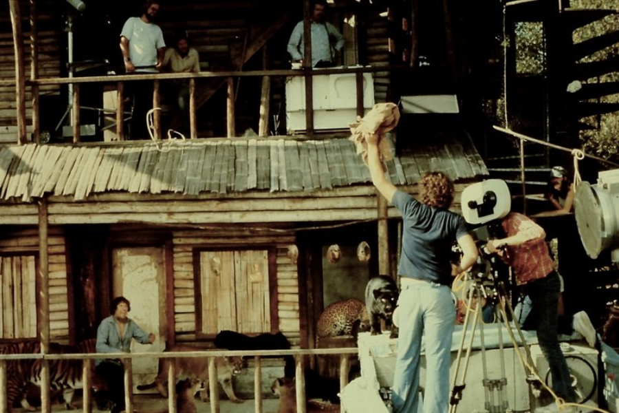On a rustic movie set built like a wooden lodge, a film crew directs a scene involving multiple big cats—including lions, tigers, and a black panther—while an actor interacts with the animals below and others observe from a balcony above.