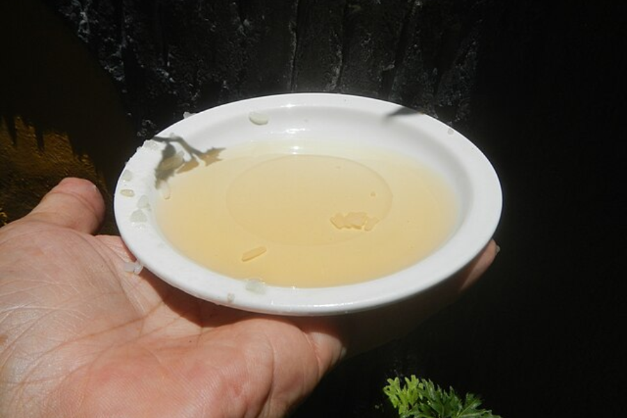 A hand holds a small white dish filled with a light amber-colored liquid, likely fish sauce or vinegar, with a few floating bits and shadows cast by nearby plants. The background is dark, enhancing the contrast with the dish.