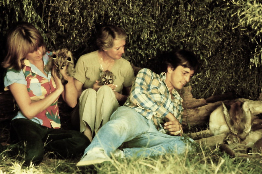 Three people sit on the grass under the shade of trees, gently holding lion cubs—two women cradle the small animals while a man reclines nearby, watching an adult lion rest peacefully beside him.