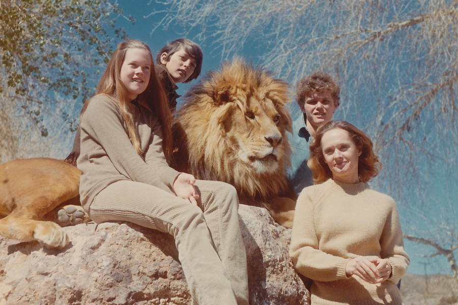 A family poses outdoors on a sunny day with a large male lion resting on a rock, surrounded by two teenagers and two adults, all dressed in earth-toned clothing and smiling under a clear blue sky.