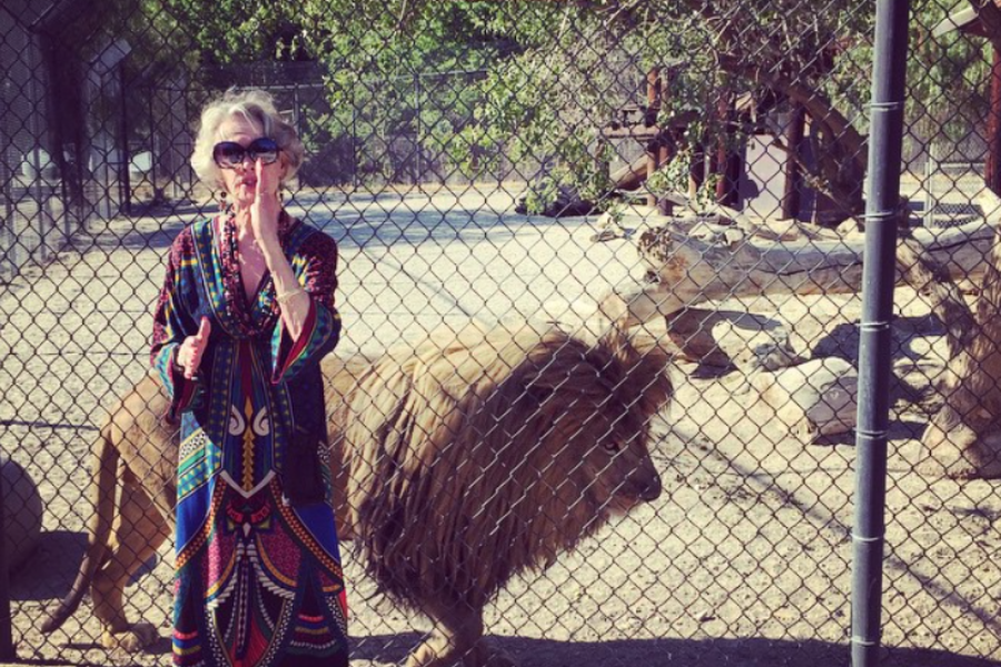 An older woman wearing a colorful, patterned dress and large sunglasses stands in front of a chain-link fence, behind which a lion walks in a sunny, enclosed habitat filled with rocks and trees.