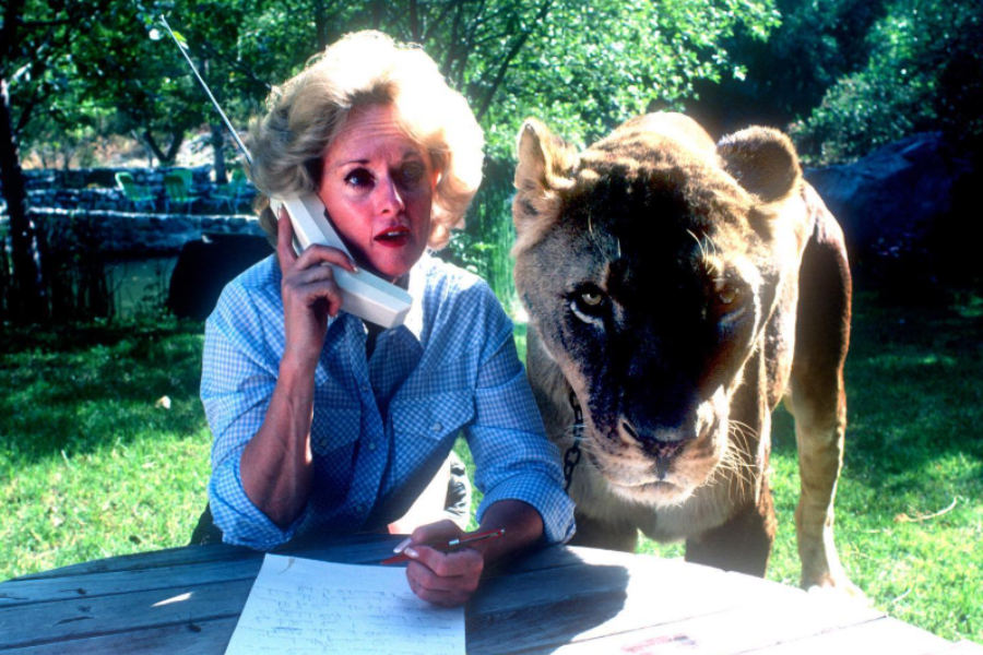 A woman with styled blonde hair sits at an outdoor table, talking on a vintage portable phone while writing on a notepad, as a lioness stands directly beside her, staring intently toward the camera in a lush, sunlit yard.
