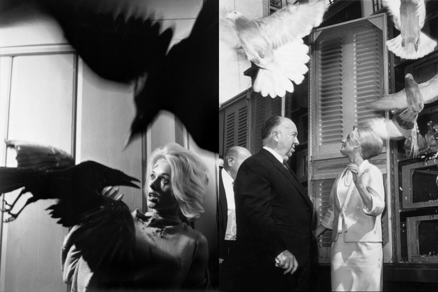 Split image showing two black-and-white scenes from The Birds—on the left, actress Tippi Hedren recoils in fear as crows swoop aggressively around her indoors; on the right, she stands outside beside Alfred Hitchcock, smiling under a flurry of doves being released from cages.
