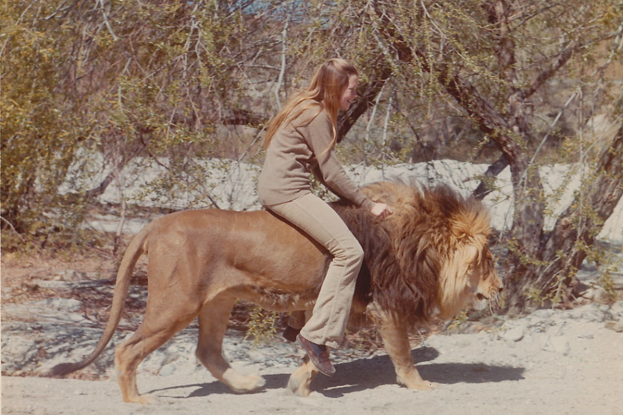 A young woman wearing a tan outfit rides on the back of a full-grown male lion walking through a sunlit, wooded area, creating a surreal and daring scene of close interaction with a wild animal.