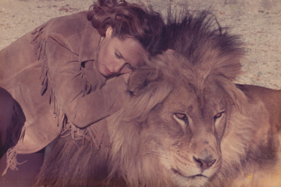 A woman in a fringed suede jacket gently rests her head against the mane of a calm, majestic lion in a sunlit, outdoor setting, evoking a deep sense of trust and connection between them.