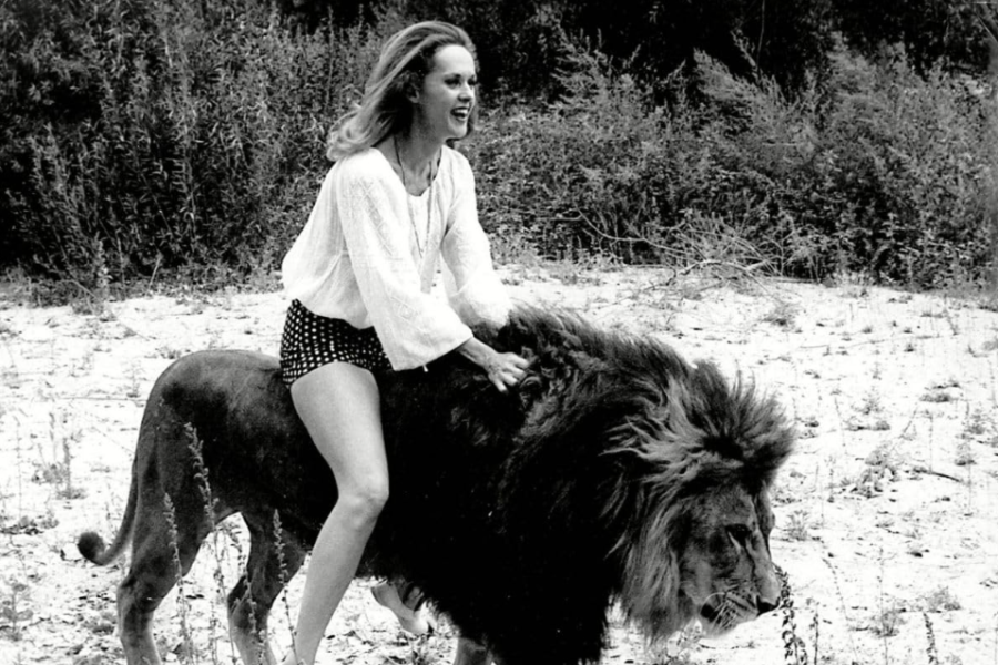 In a black-and-white photo, actress Tippi Hedren rides bareback on a large male lion through a sandy clearing, smiling confidently while gripping its mane, with dense foliage in the background.