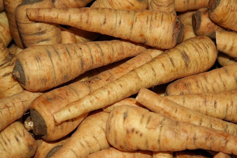 Parsnips piled up