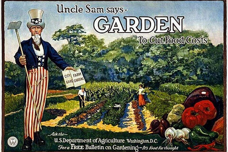 Uncle Sam Poster of Victory Gardens